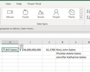 Excel can do research example 2: Bill Gates info.